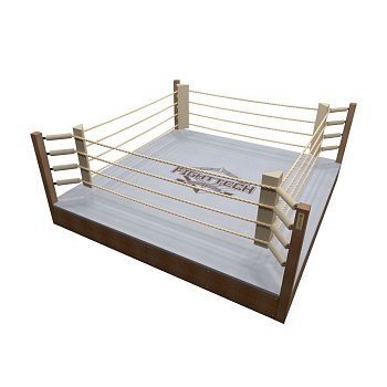 Боксерский ринг в эксклюзивном исполнении