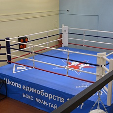 DROZD boxing