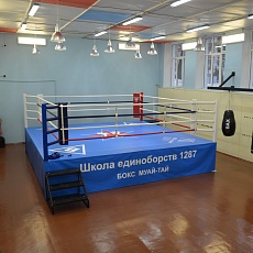 DROZD boxing