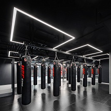 UFC GYM