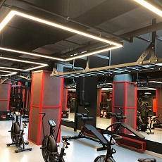 UFC GYM