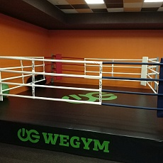 Сеть фитнес-клубов WeGym