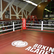 Академия бокса
