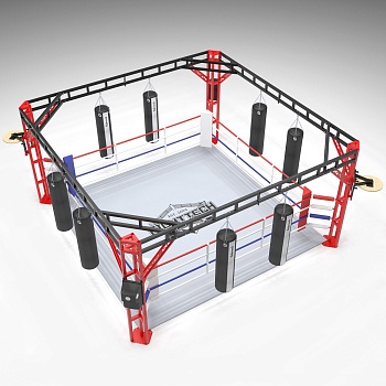 Ринг боксерский в раме Gym in one