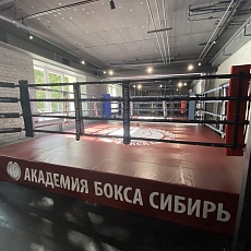 Академия бокса Сибирь