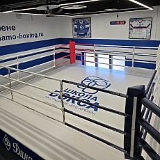 Школа бокса  "Динамо"