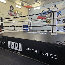 DROZD boxing