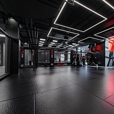 UFC GYM