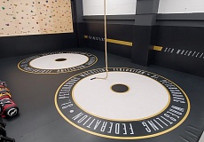 Спортивная Федерация Бокса СПб