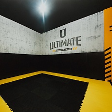 Ultimate boxing club